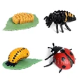 Animal 2