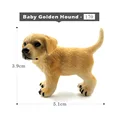 Small Dog