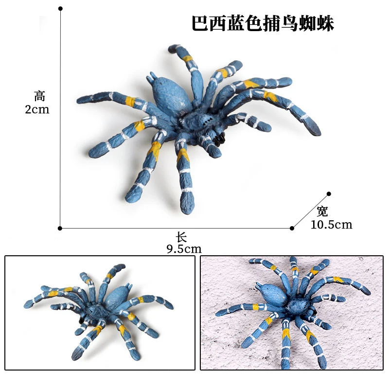 Animal 10
