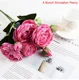 peony5