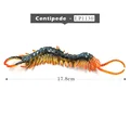 Centipede