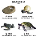 Sea turtle - 2