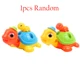 1pcs turtle