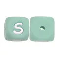 10pcs S