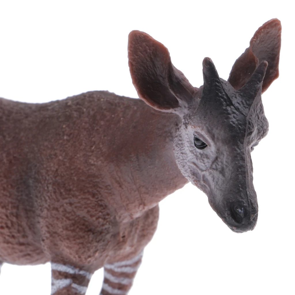 Realistic Okapi Wildlife Animal Figurine Model Action Figure Kids Toy Gift