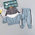 F193202 Gray