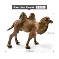 Bactrian Camel