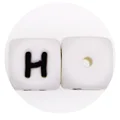 10pcs H