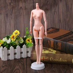 Barbie Soporte Maniquí Muñeca – Pie Exhibición Ajustable