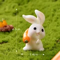 Shoulder Rabbit