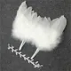 C white siliver