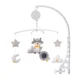 Carousel Raccoon