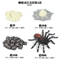 Spider - 5