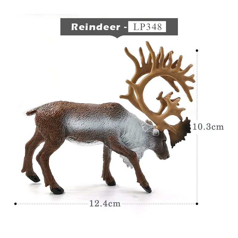 Reindeer