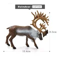 Reindeer