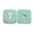 10pcs T