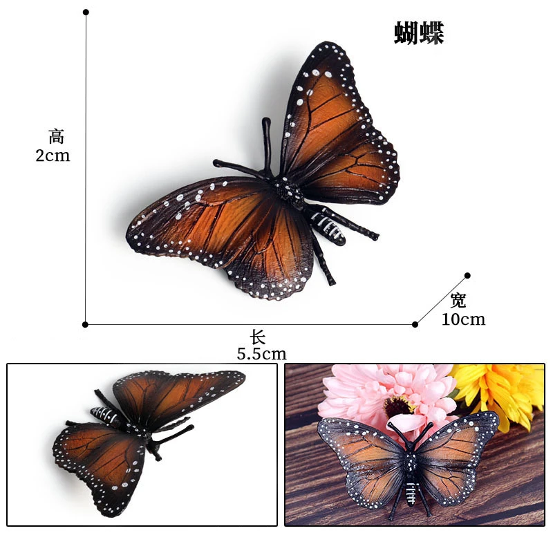 Animal 6