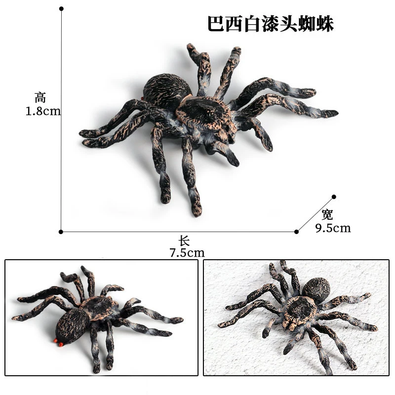 Animal 9