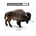 American Bison