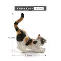 Calico Cat