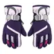 Morado