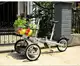 stroller bike