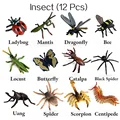 Insect 12PCS