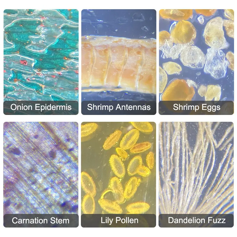 Kit de microscopio LED de laboratorio 1200X/400/100, microscopio educativo para el hogar y la escuela, regalo de ciencia de laboratorio, Navidad biológica refinada - imagen 4