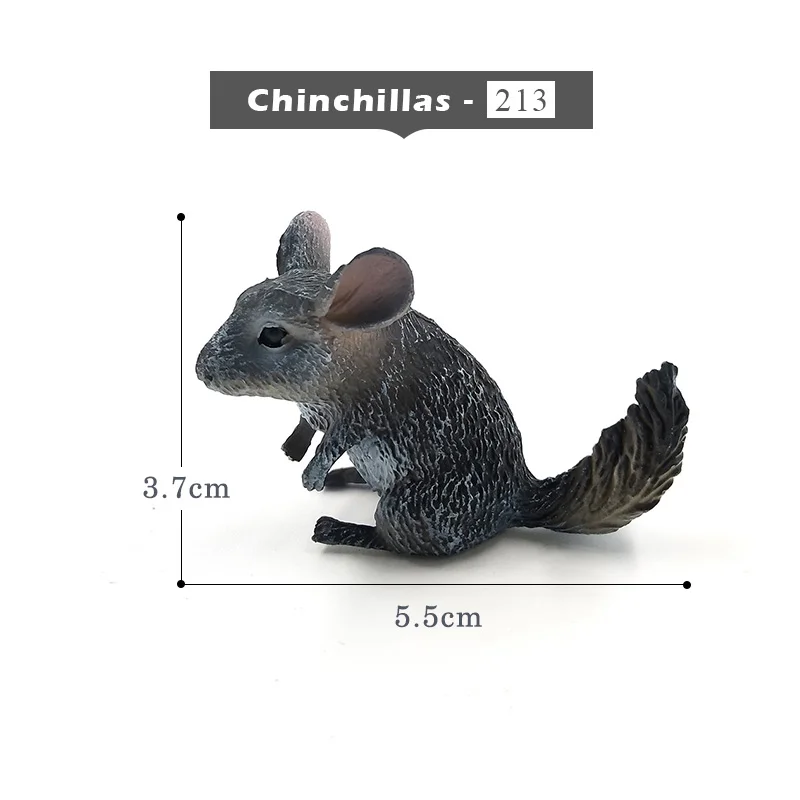 Small Chinchillas