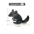 Small Chinchillas