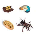 Animal 8