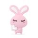 Rabbit 58