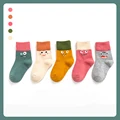 Cute Monster Socks