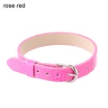 rose red-1