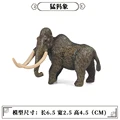 Animal 5