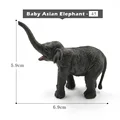 Small Elephant