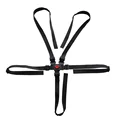 Safety belt type B