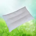 pillow  core
