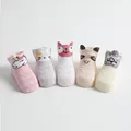 sock 2