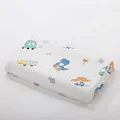 color4-pillow case