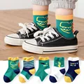 Dinosaur Socks