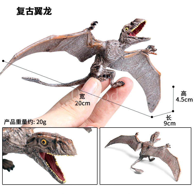 Animal 15