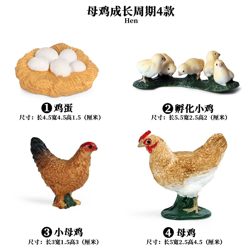 Hen