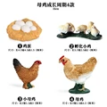 Hen