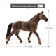 Hanoverian Horse