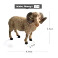 Male Sheep
