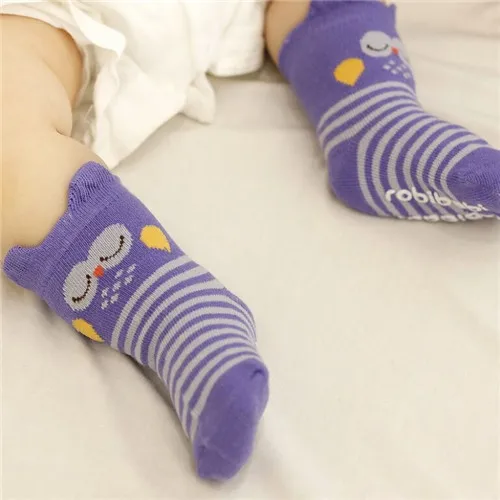 owl