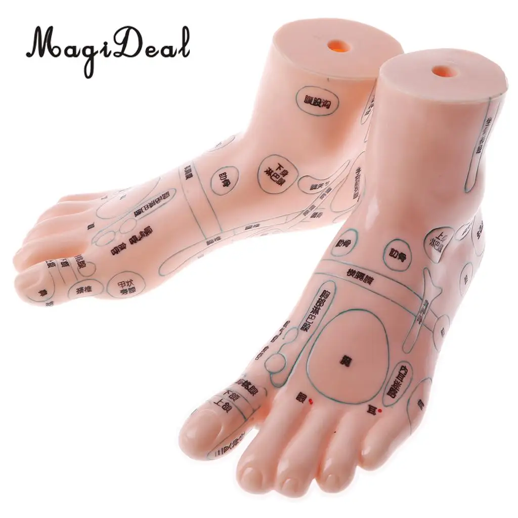 2 Pieces 19cm Massage Acupuncture Feet Model Set Reflexology Acupoint Medical School Teaching Tool Learning Display