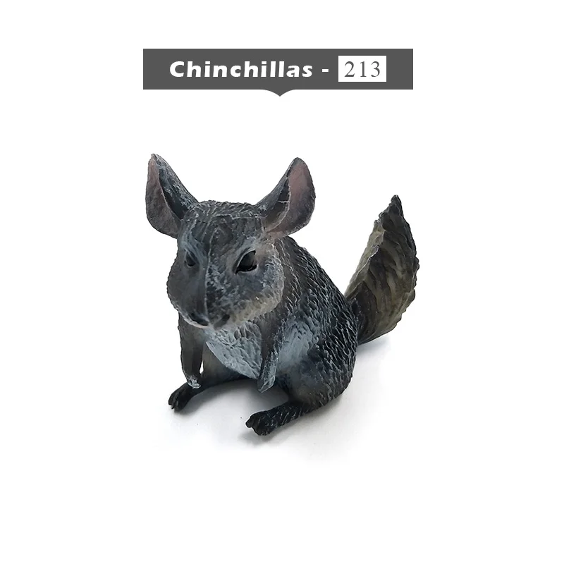 Chinchillas