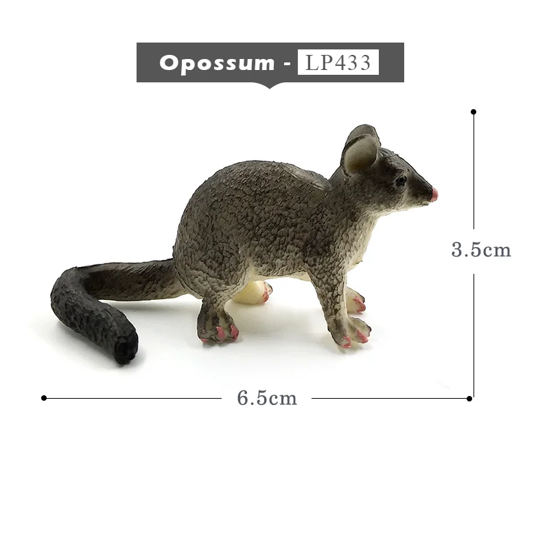 Opossum